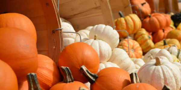 Different colored pumpkins spilling out of large baskets.